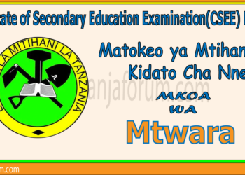 Matokeo ya Kidato Cha Nne 2025 Mtwara