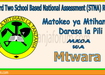 Matokeo ya Darasa la Pili (STNA) 2025 Mtwara