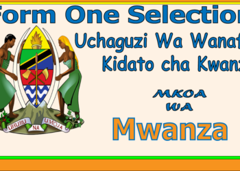 Form One Selection Mwanza