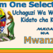 Form One Selection Mwanza