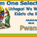 Form One Selection Pwani