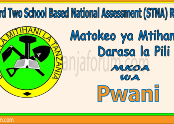 Matokeo ya Darasa la Pili (STNA) 2025 Pwani
