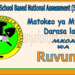 Matokeo ya Darasa la Pili (STNA) 2025 Ruvuma