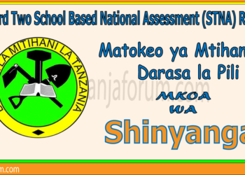 Matokeo ya Darasa la Pili (STNA) 2025 Shinyanga