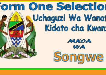 Form One Selection Songwe