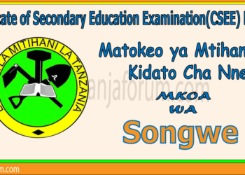 Matokeo ya Kidato Cha Nne 2025 Songwe