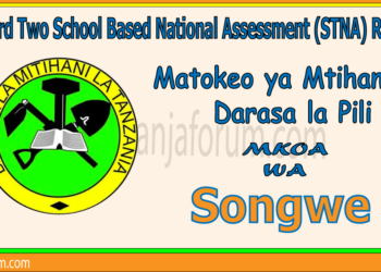 Matokeo ya Darasa la Pili (STNA) 2025 Songwe