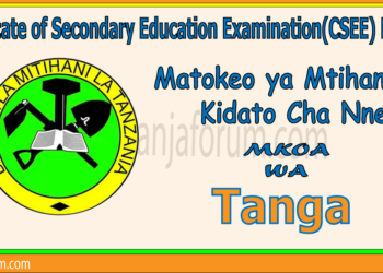 Matokeo ya Kidato Cha Nne 2025 Mkoa wa Tanga