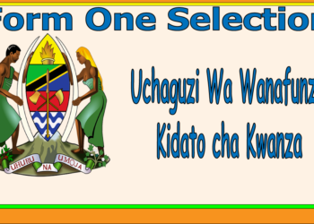 Form One Selection 2026 (Waliochaguliwa Kidato cha Kwanza)