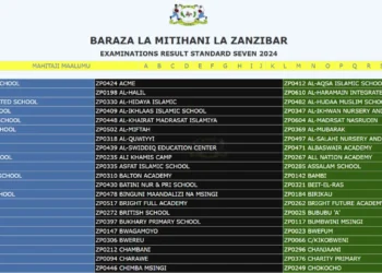 Matokeo ya Darasa la Saba 2025 Zanzibar (ZEC Standard Seven 2025 results)